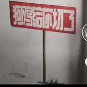 专业鉴沟