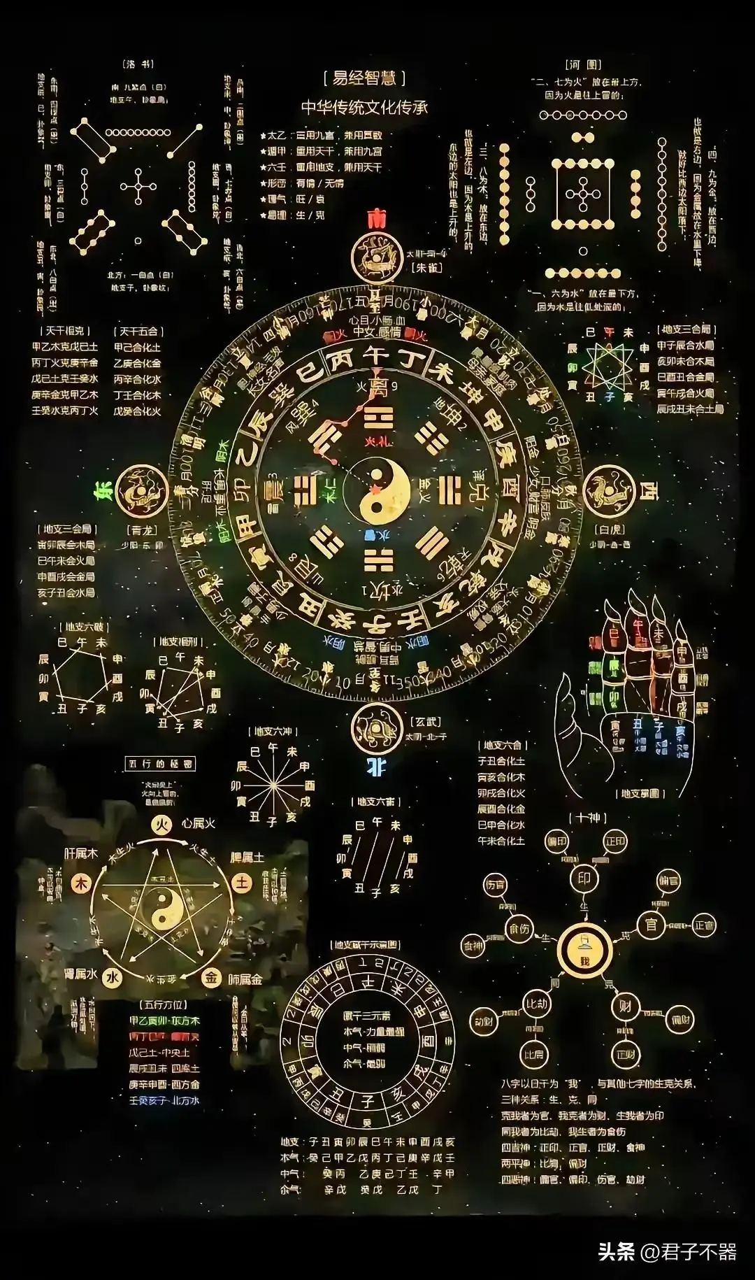 酒仙酒仙qisea的主播照片