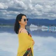 素心清筝