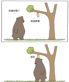梓洛~的图片
