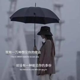 龙菲菲越来越好的图片