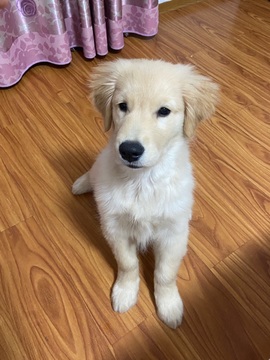 小可柔💜的图片