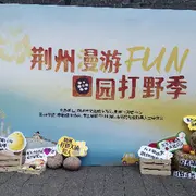 南书很哇塞