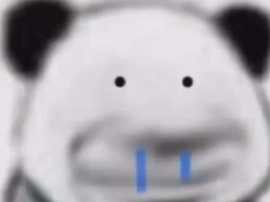五月代理❀自动秒返的图片