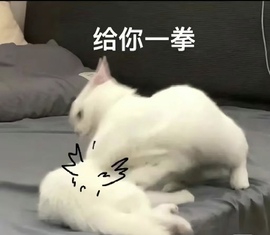 五月代理❀自动秒返的图片