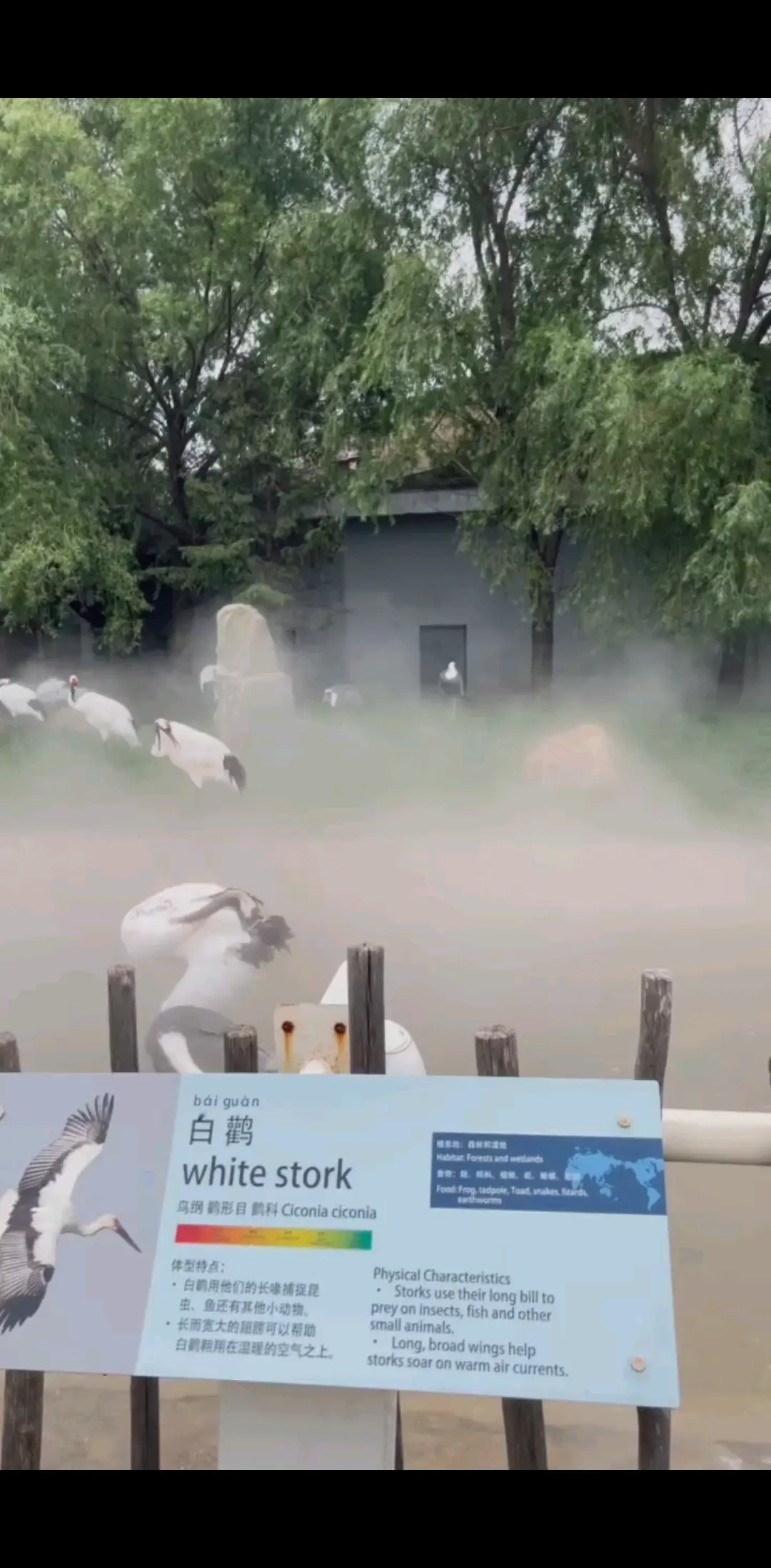 夏天看动物园