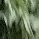 l浪中之阆