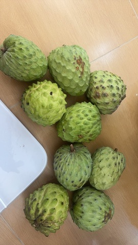 皖皖💰好运来~的图片