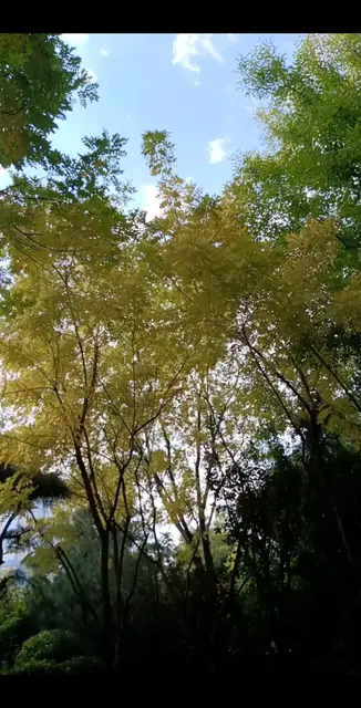 猜这是什么地方