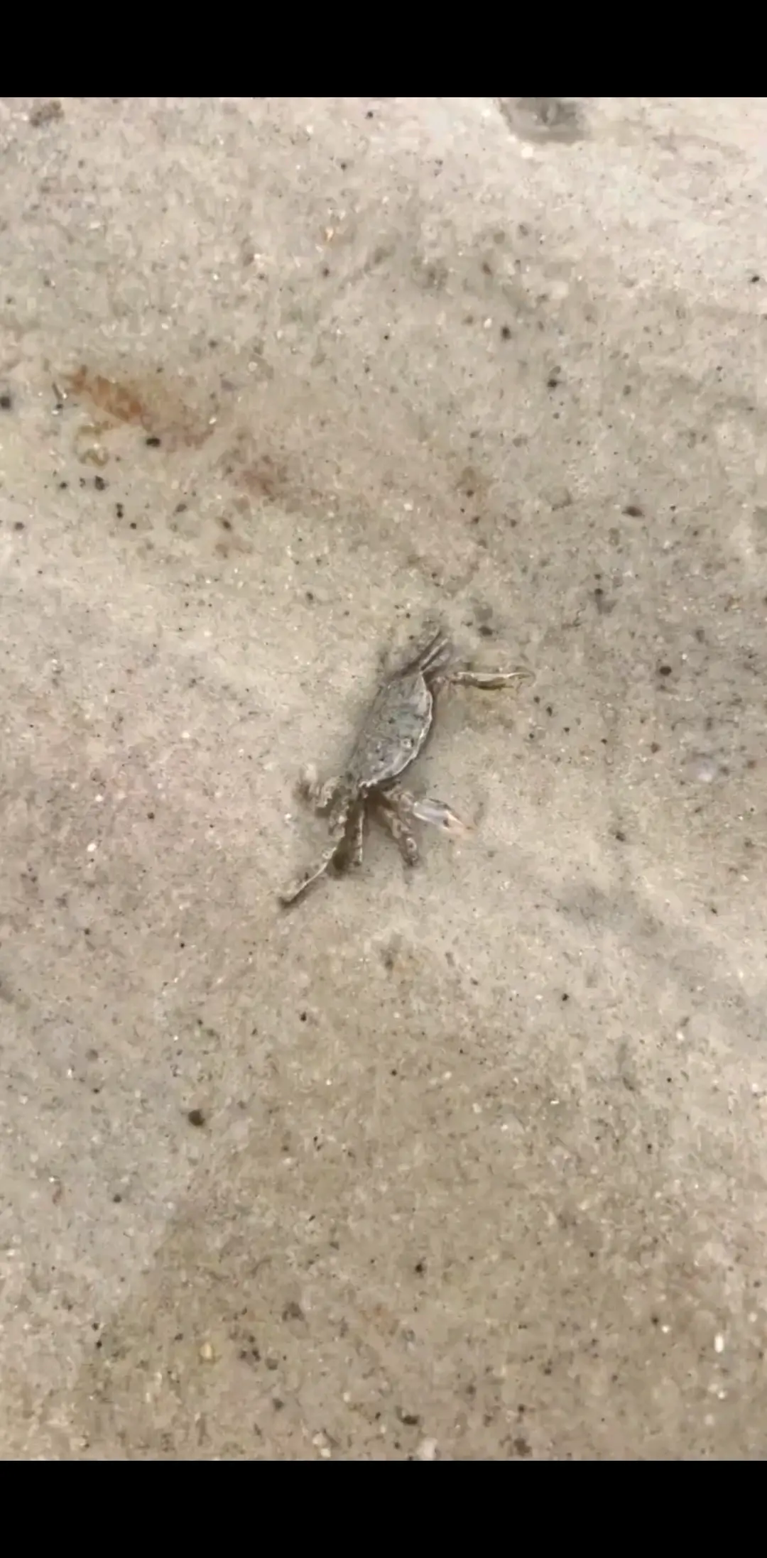 要逃跑 不可能/狂笑