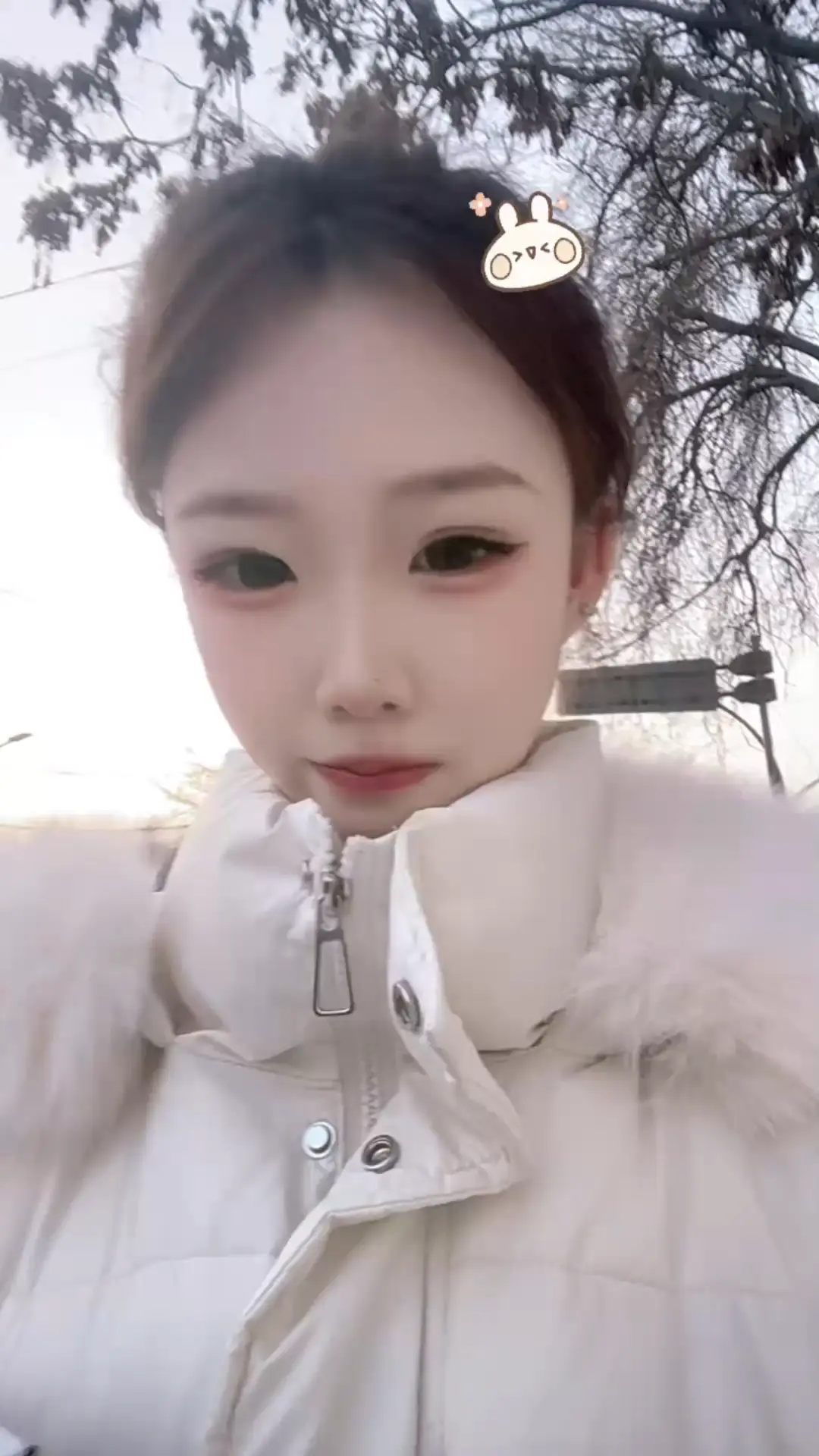 呼噜