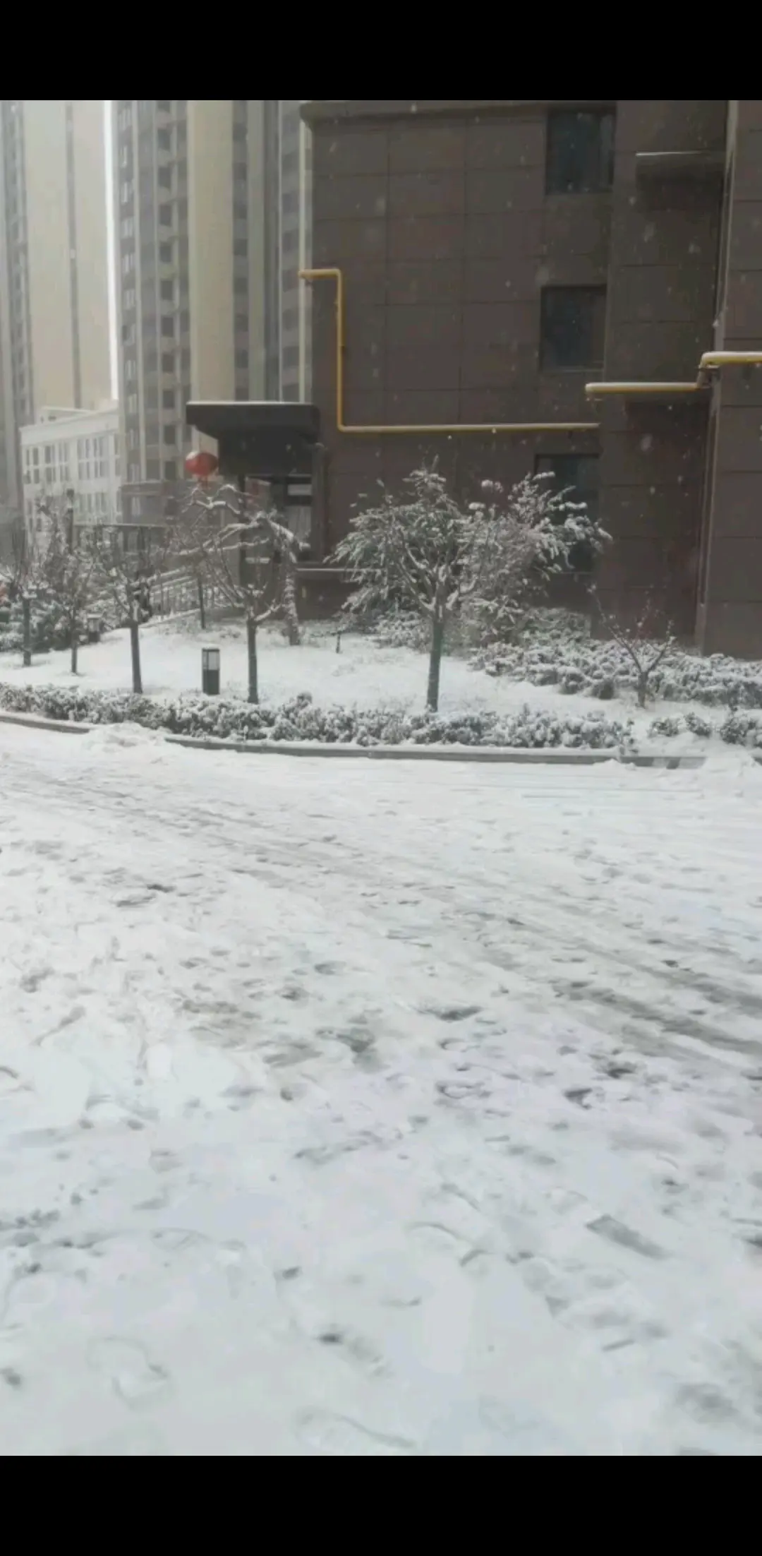 元旦🧧跨年雪景☃️🌨️