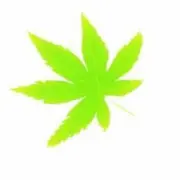 白衬衫《白白白》