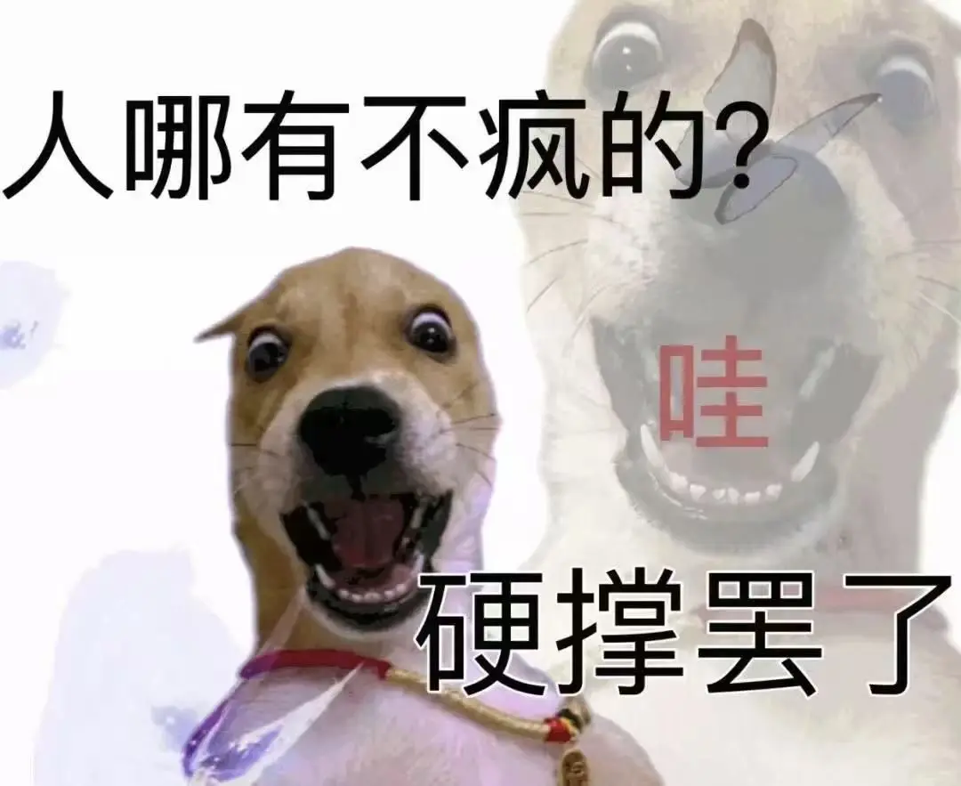 禾薇🌷想过任务的主播照片