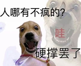 禾薇🌷想过任务的图片