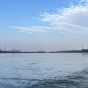退网了，有缘再见