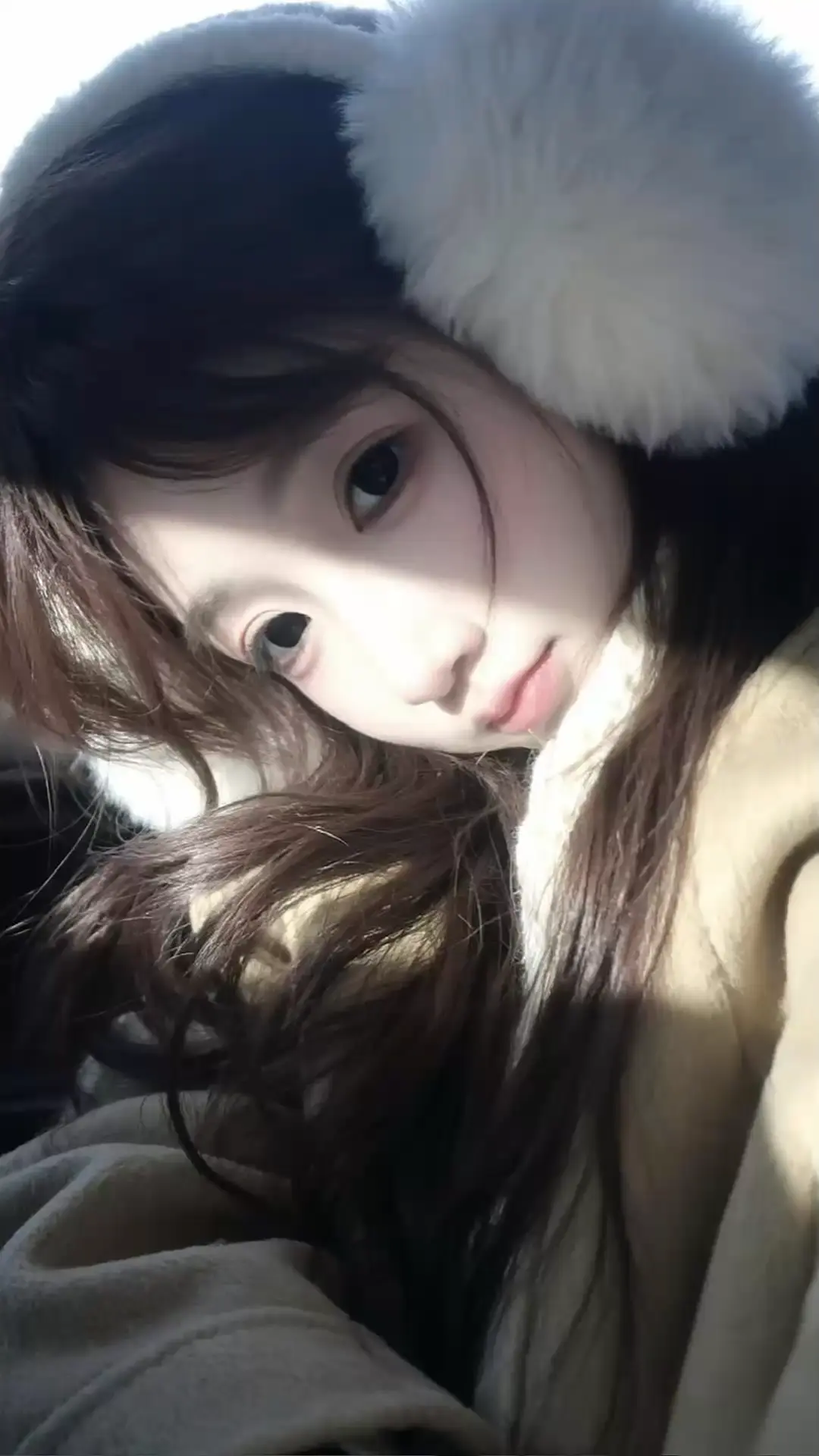 高冷只是我的保护色