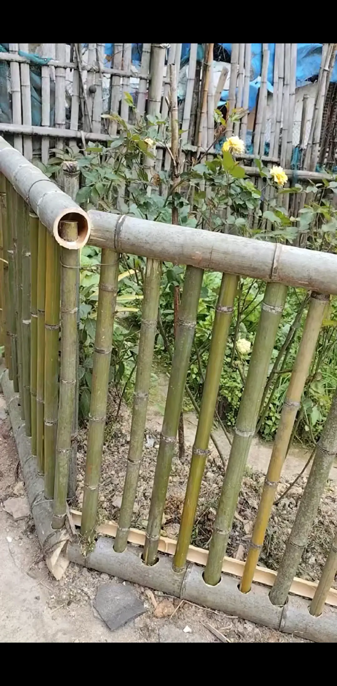 /胜利/胜利