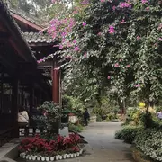 鱼儿阳光