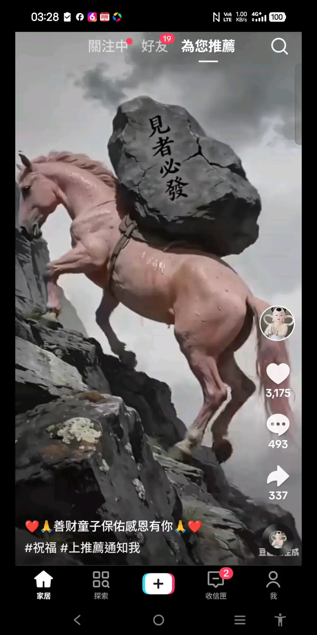 見者必發
