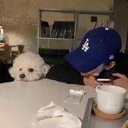 …$…