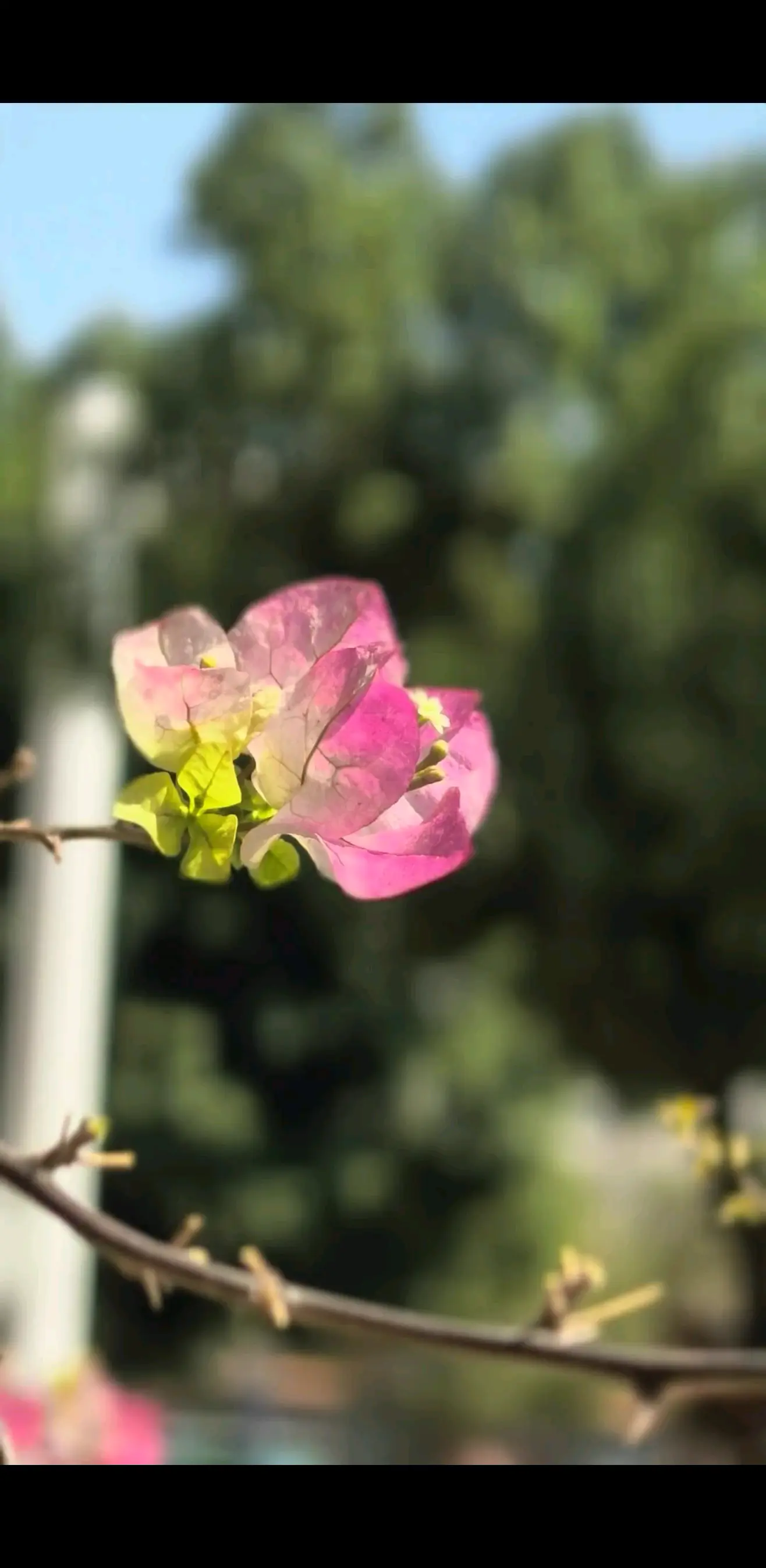 分享美好