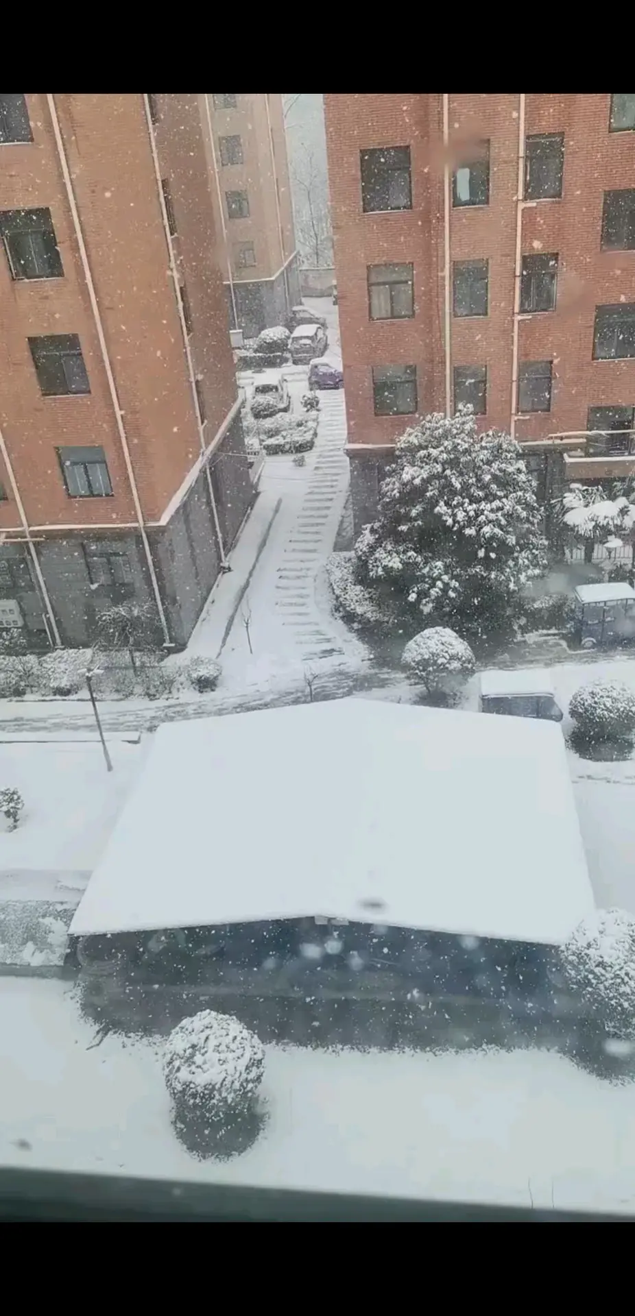 平常的西北风都是常温