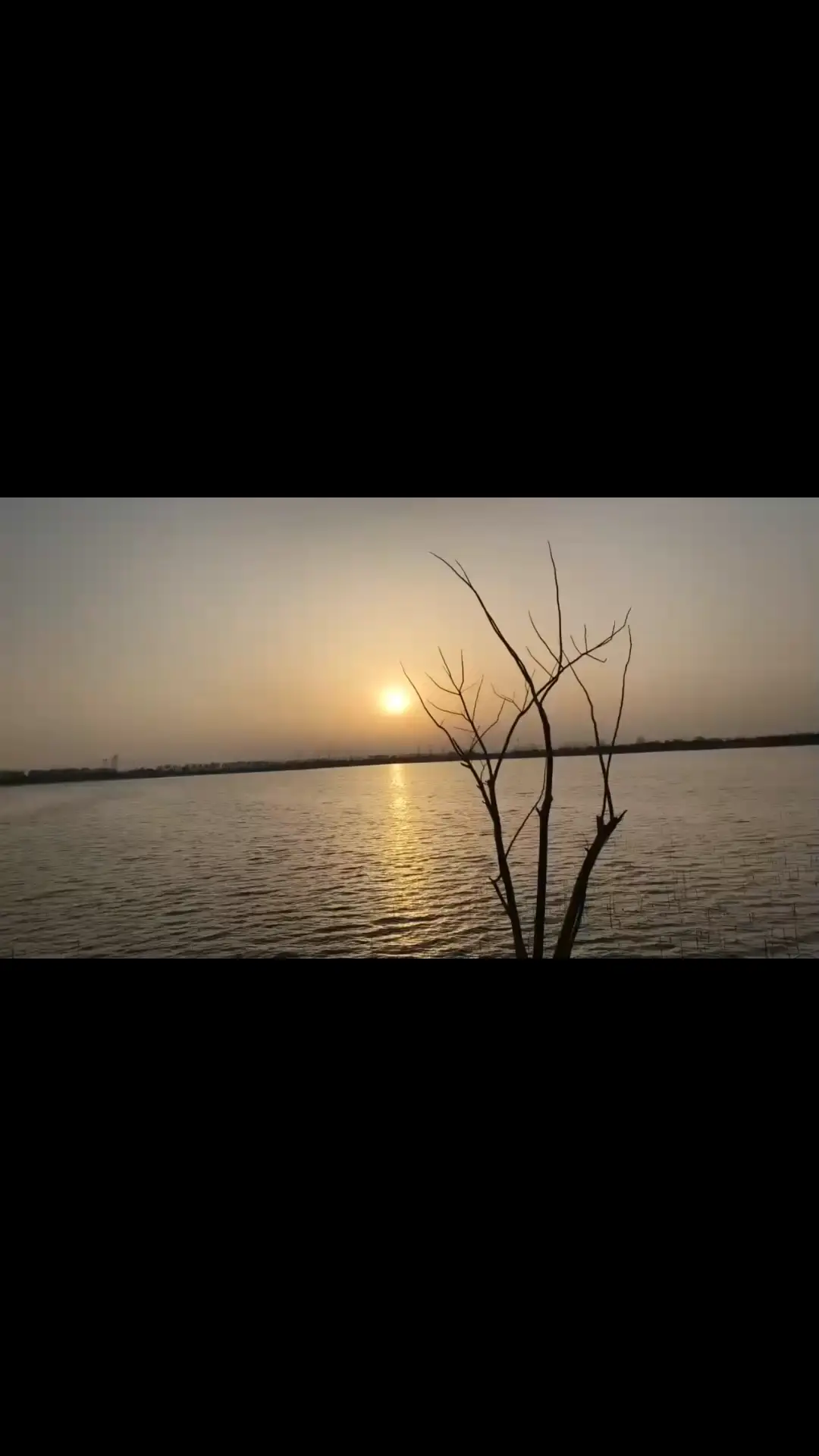 夕阳无限好，只是近黄