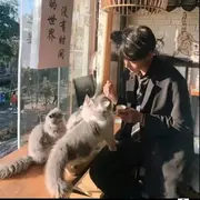 小superman嘿的用户头像