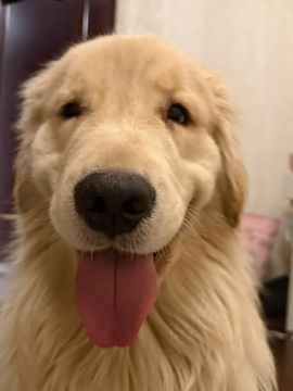 李梦怡.的图片