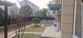 （选择）的图片