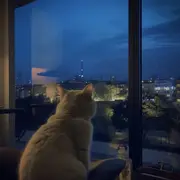 顺其自然3333