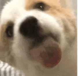 天赐~你是我永远的劫的图片