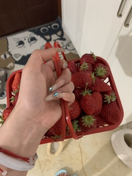 食肉小羊（休）的图片