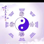 老道☯清轩