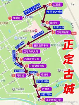 萌新宝宝chblld的图片