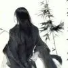 林vkw