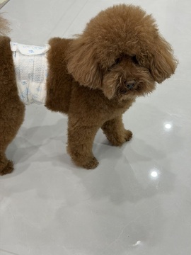 小宝娘亲的图片