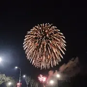 半Z醒Z半醉