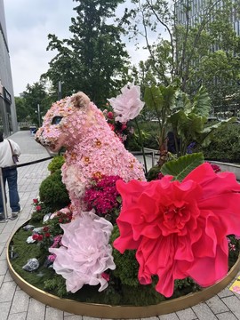 ♥大美羽儿♥求百元榜的图片