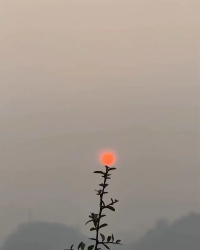 ღ柳柒柒昭禾见月✨的主播照片