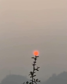 ღ柳柒柒昭禾见月✨主播照片