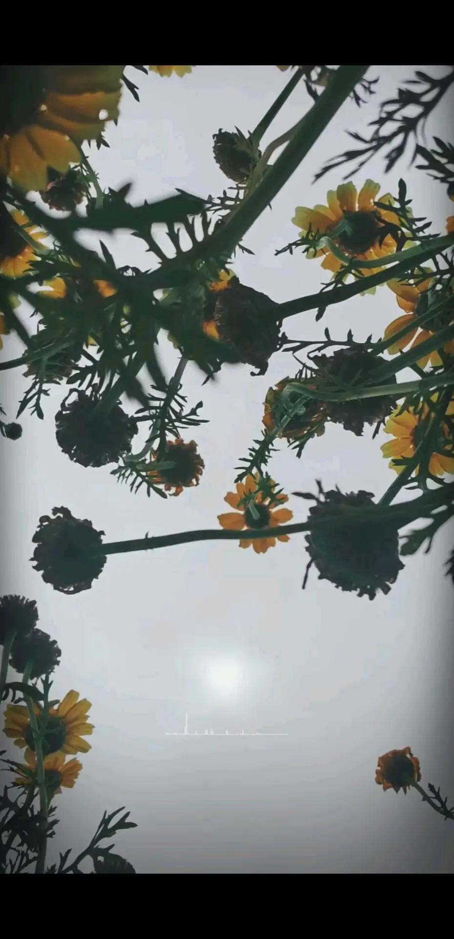 不开心也要笑着面对，