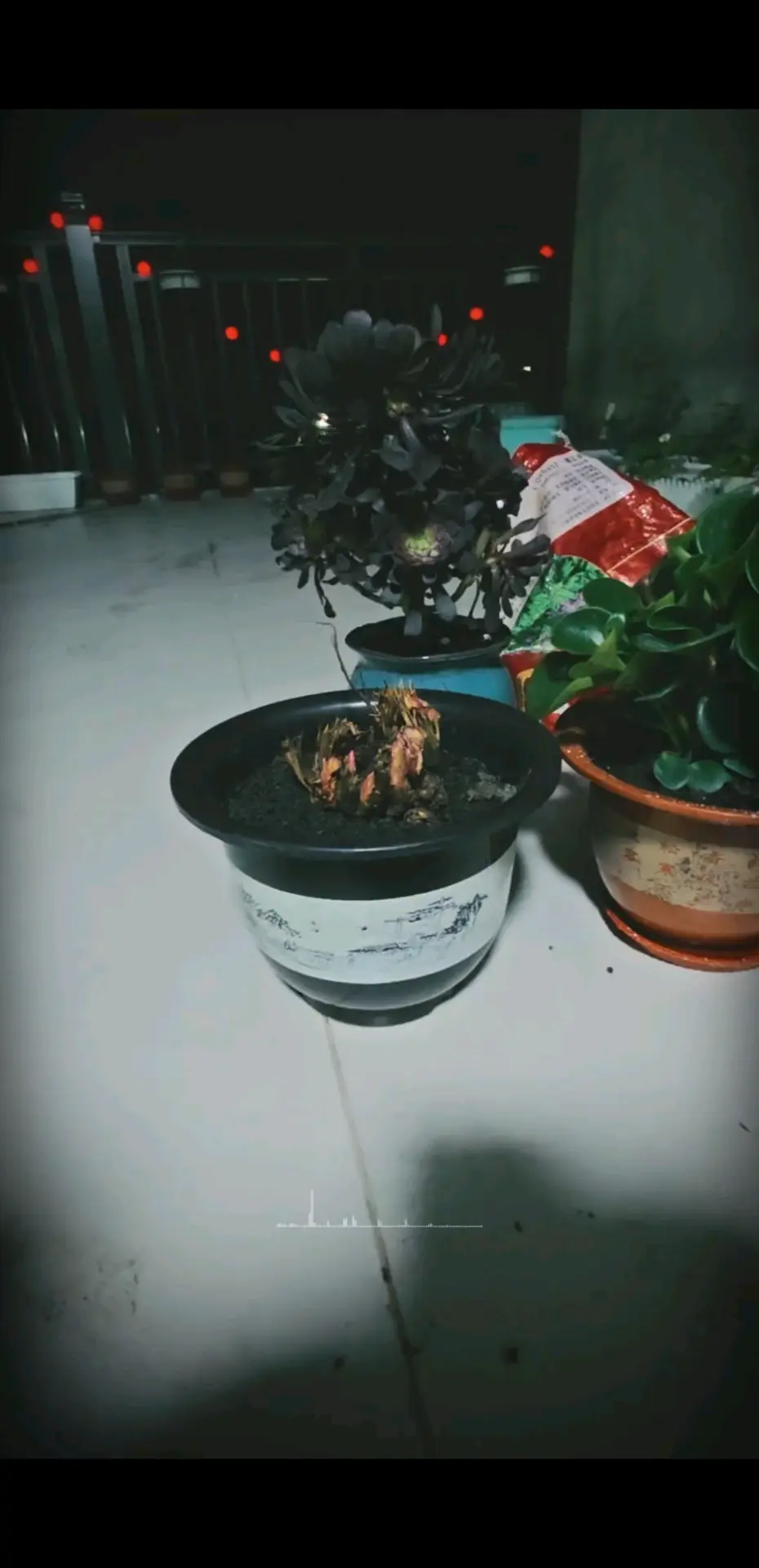 谁家小美女这么勤快啊