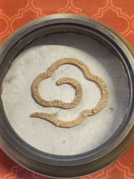 茶茶幸运星的图片