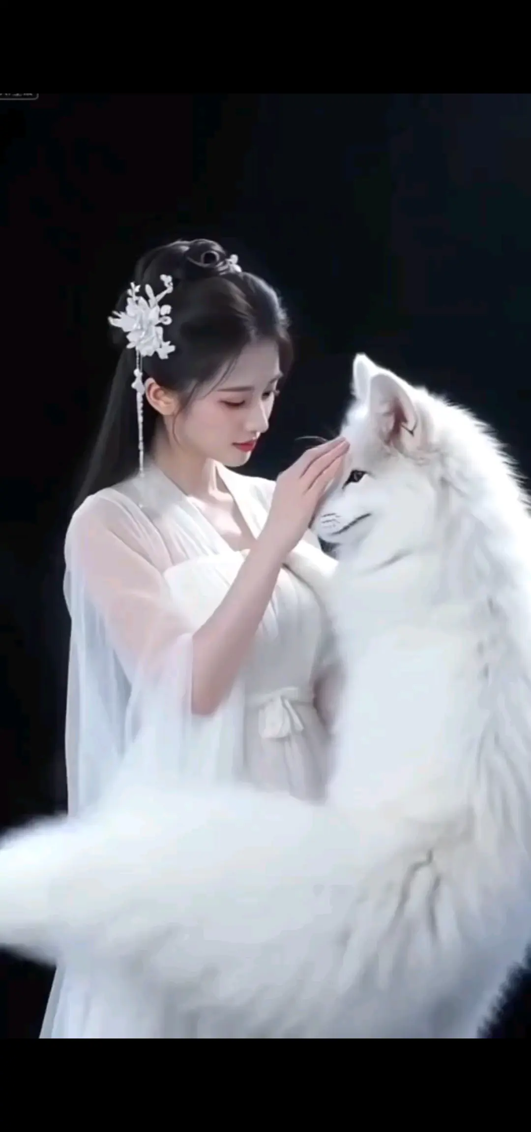 等待千年之狐