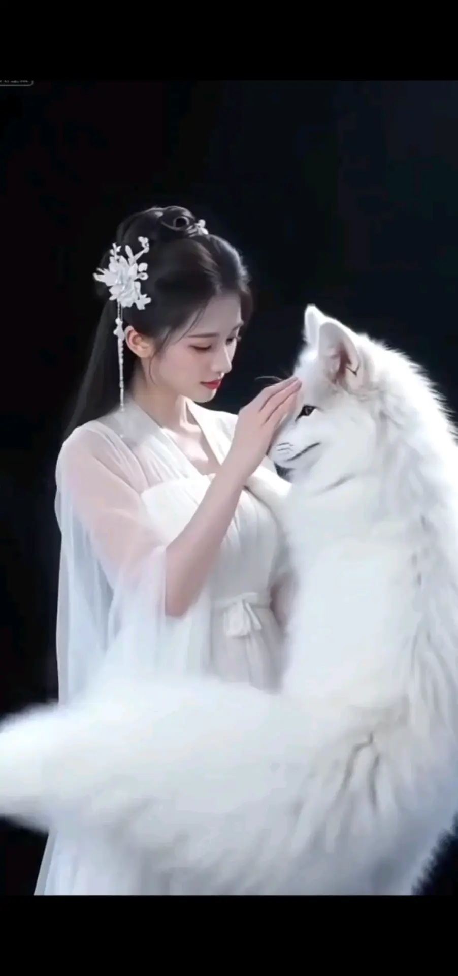等待千年之狐