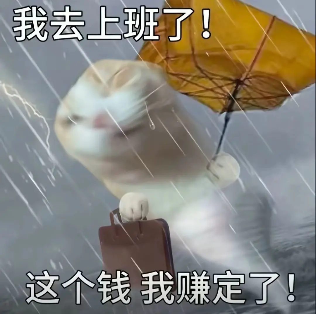 躲在角落的雪儿🍀主播图片
