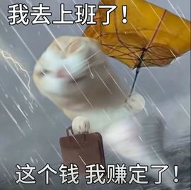 躲在角落的雪儿🍀的图片