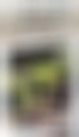 晴宝19号生日庆的主播照片